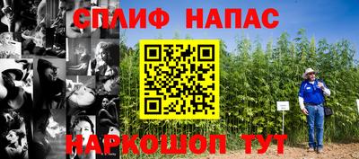 СК Обнинск